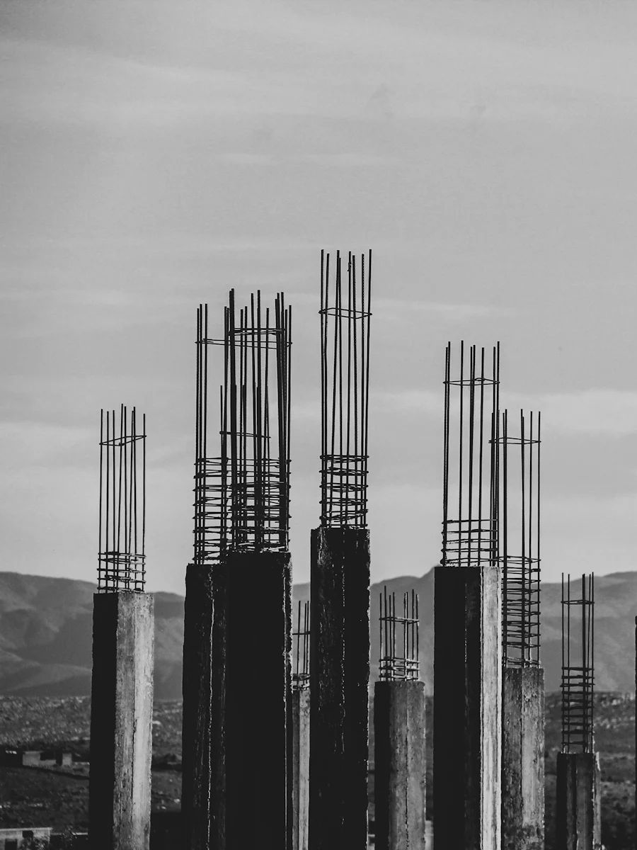 Row of concrete columns photographed in monochrome.